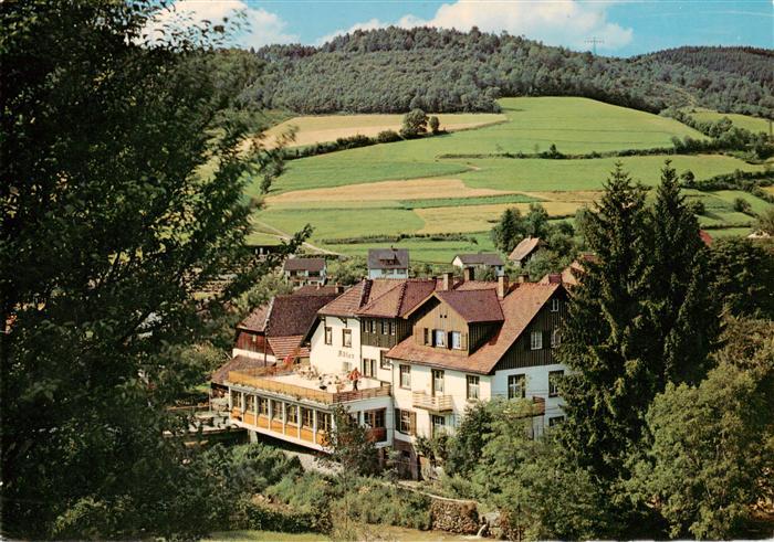 Oberprechtal Elzach Elztal BW Gasthof Pension Adler