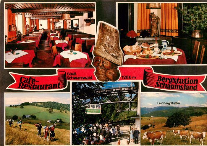 Schauinsland Oberried BW Cafe Restaurant Bergstation Gastraeume Panorama Schauin