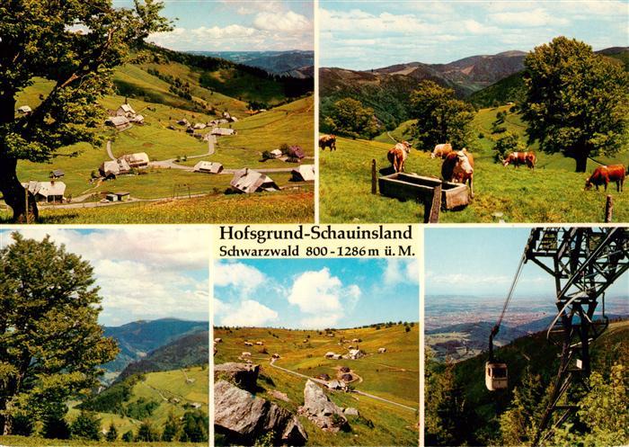 Hofsgrund Oberried Schauinsland Panorama Viehweide Schauinslandbahn