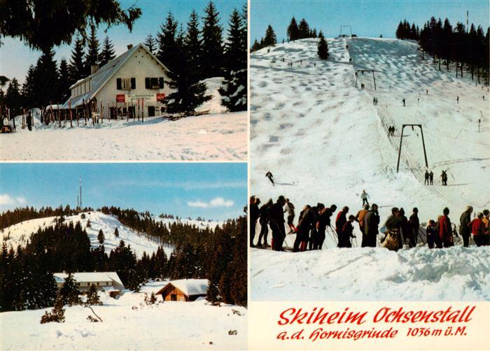 Hornisgrinde Sasbach Skiheim Ochsenstall Panorama Skilift