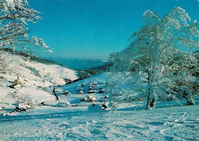 Hofsgrund Oberried Schauinsland Winterpanorama