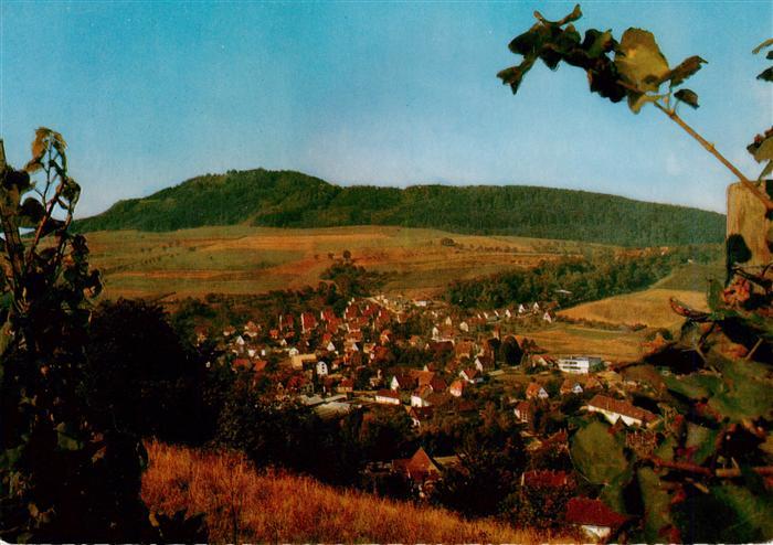 Merzhausen Freiburg Breisgau Panorama