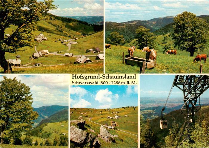 Hofsgrund Oberried Schauinsland Panorama Viehweide Schauinslandbahn
