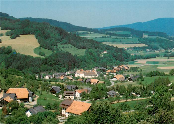 Oberried Breisgau Schwarzwald Fliegeraufnahme