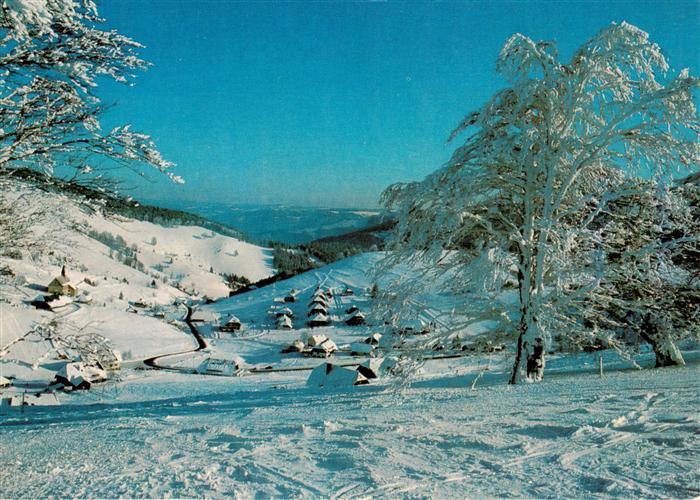 Hofsgrund Oberried Schauinsland Winteridyll