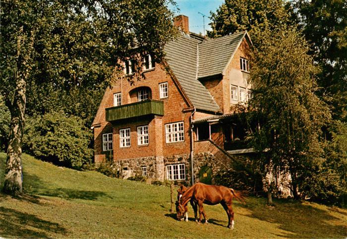 Klingberg Reiterpension Marlie