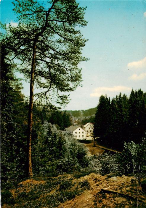 Grossrehmuehle Gasthof zum Rehbachtal