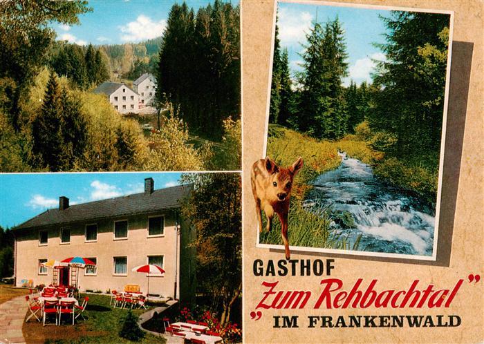 Grafengehaig Gasthof zum Rehbachtal Waldpartie Bach Reh