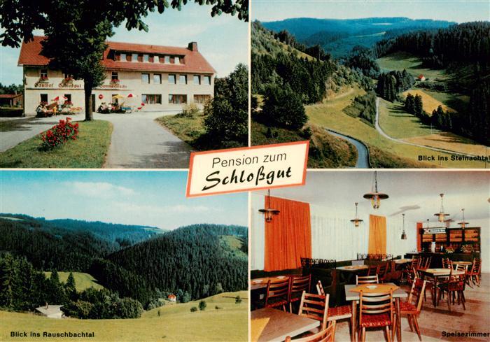 Schlopp Gasthaus Pension Schlossgut Landschaftspanorama Rauschbachtal Steinachta