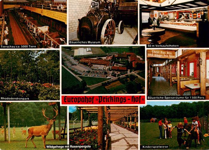 Sythen Haltern Prickings Hof Tierschau Baeuerliches Museum Verkaufstheken Rhodod