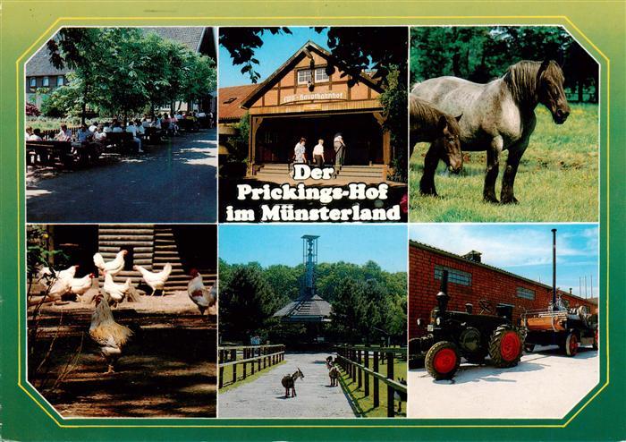 Sythen Haltern Europahof Prickingshof