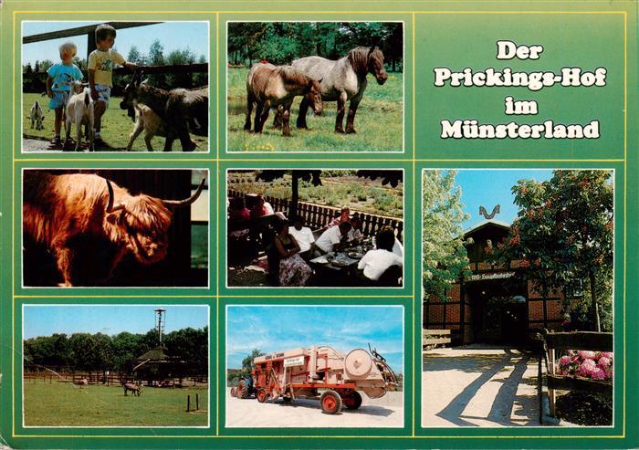 Sythen Haltern Prickingshof EWG Musterhof im Muensterland