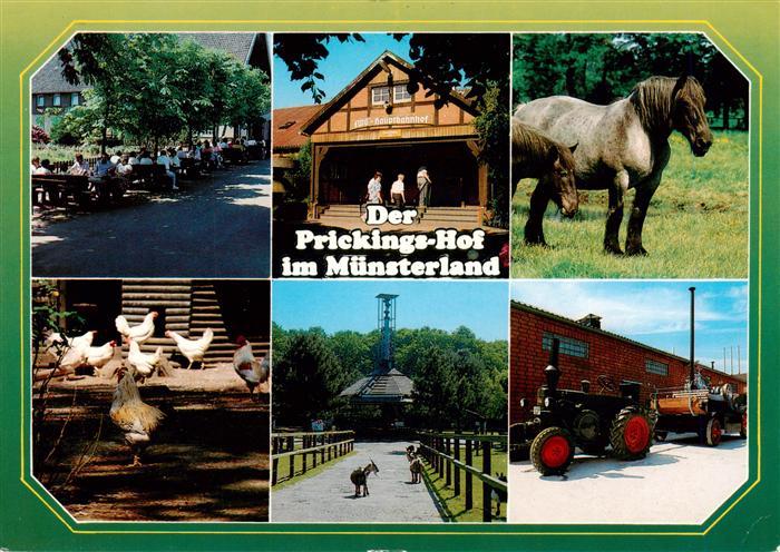 Sythen Haltern Prickings Hof Freiterrasse EWG Hauptbahnhof Huehner Ziegen Trakto