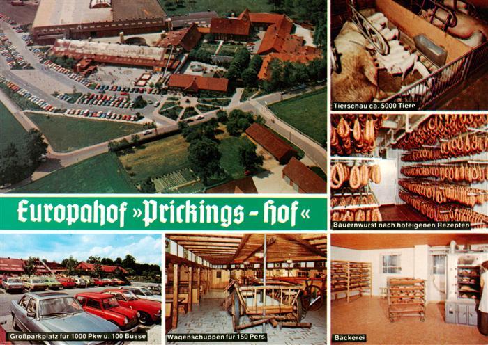 Sythen Haltern Europahof Prickings Hof Tierschau Bauernwurst Parkplatz Wagenschu