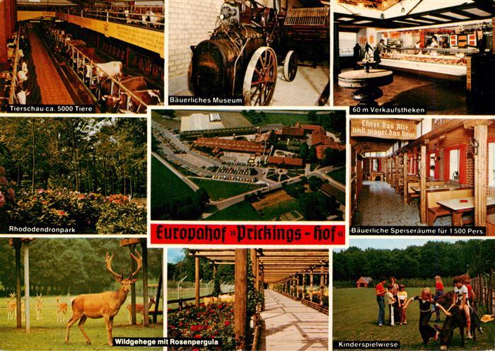 Sythen Haltern Europahof Prickings Hof Tierschau Rhododendronark Wildgehege Rose