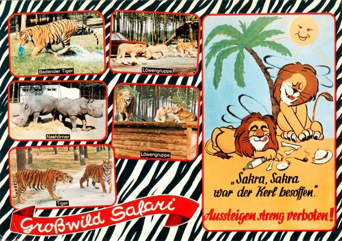 Stukenbrock Schloss Holte-Stukenbrock Senne Grosswild Safari mit Tiger Loewengru