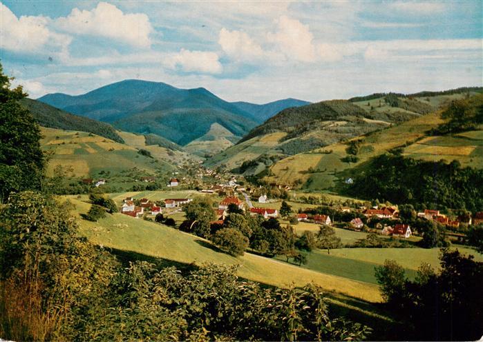 Muenstertal Schwarzwald Panorama