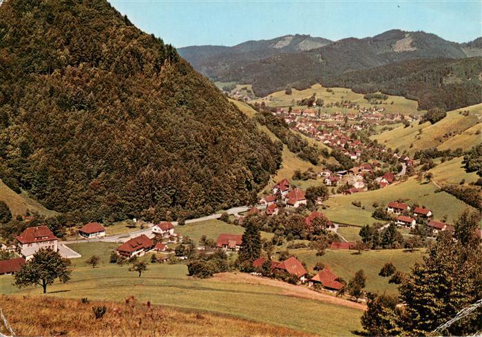 Muenstertal Schwarzwald Fliegeraufnahme mit Rotenbuck