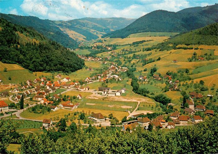 Muenstertal Schwarzwald Panorama