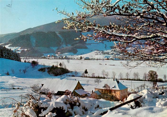 Kirchzarten Winterpanorama