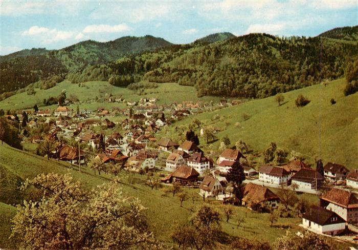 Muenstertal Schwarzwald Panorama