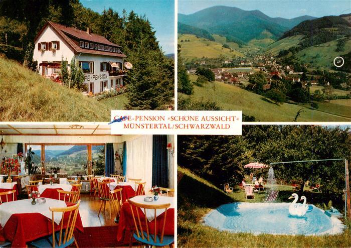 Muenstertal Schwarzwald Cafe Pension Schoene Aussicht Gaststube Garten Panoram