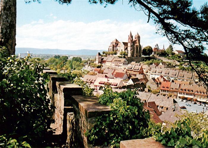 Breisach Rhein Panorama mit St Stephansmuenster