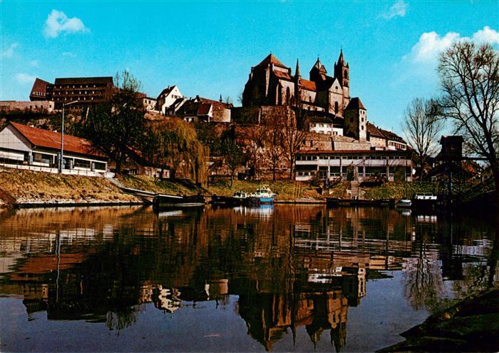Breisach Rhein Rheinpartie mit Stephansmuenster