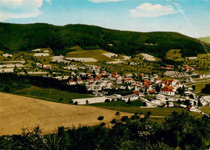 Hofstetten Kinzigtal Fliegeraufnahme