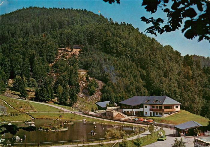 Todtnau Schwarzwald BW Berg Wild Park Steinwasen
