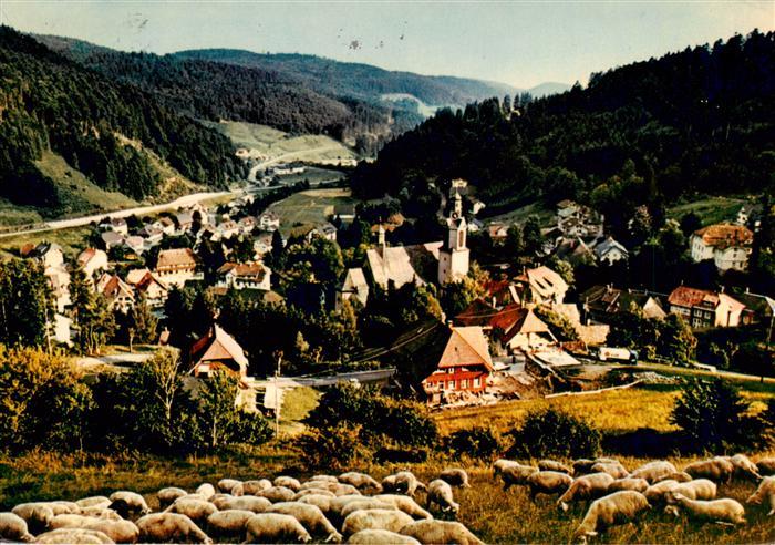 Todtmoos Schwarzwald BW Panorama