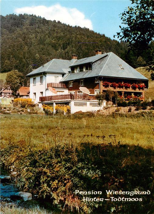 Hintertodtmoos Pension Wiesengrund