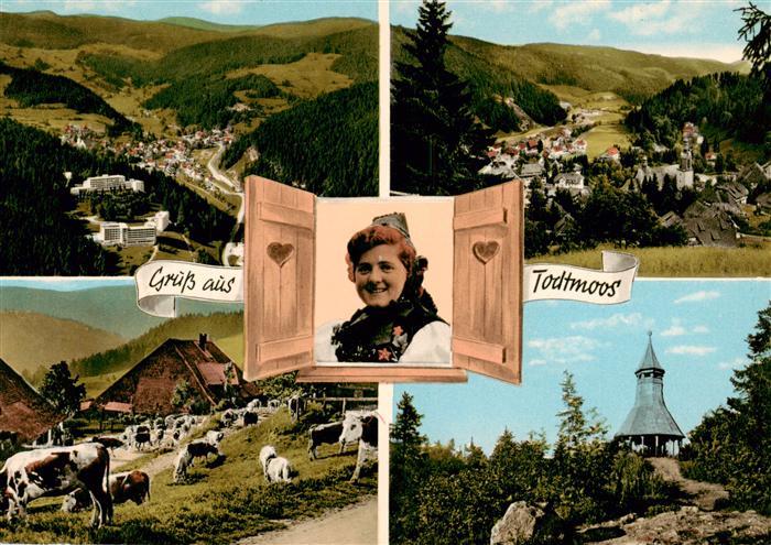 Todtmoos Schwarzwald BW Fliegeraufnahme Panorama Schwarzwaldhaus Turm