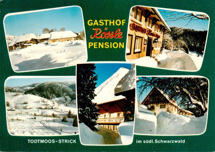 Strick-Todtmoos Gasthof Roessle Pension Winterpanorama