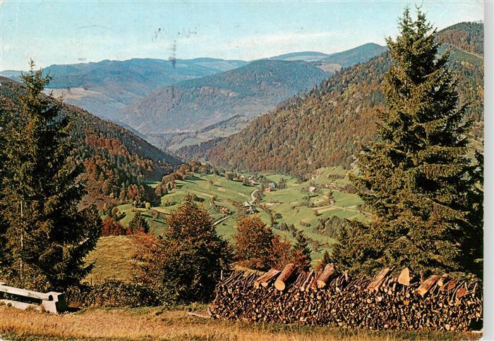 Praeg Todtnau Blick vom Kreuzkopf