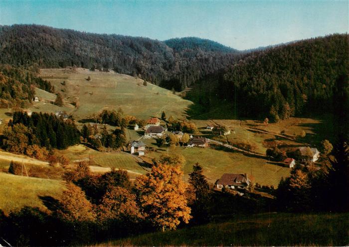 Ruette Todtmoos Fliegeraufnahme