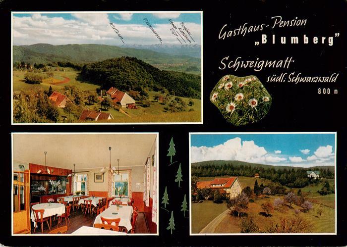 Schweigmatt Schopfheim Gasthaus Pension Blumberg Panorama Gastraum