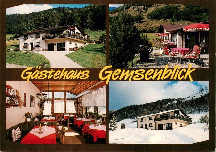 Brandenberg Todtnau Gaestehaus Gemsenblick Terrasse Gastraum