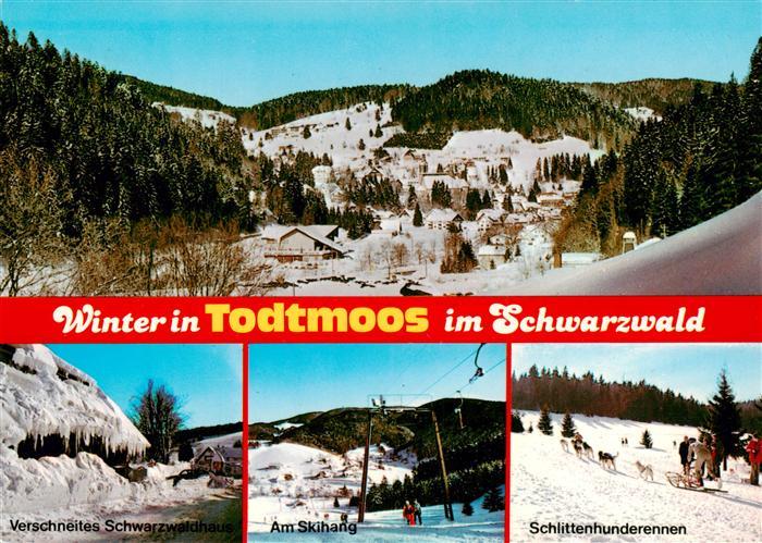 Todtmoos Schwarzwald BW Panorama Verschneites Schwarzwaldhaus Am Skihang Schlitt