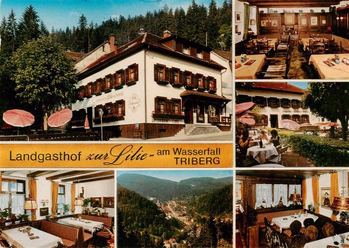 Triberg Landgasthof zur Lilie am Wasserfall Gastraeume Panorama Terrasse