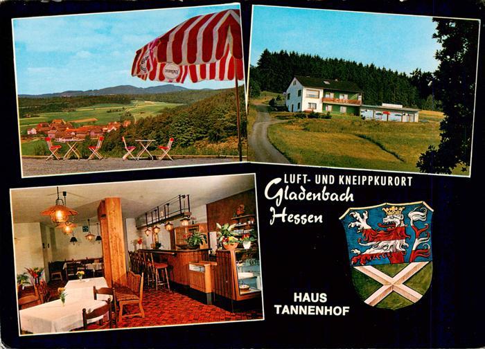 Gladenbach Hessen Haus Tannenhof Terrasse Gaststube