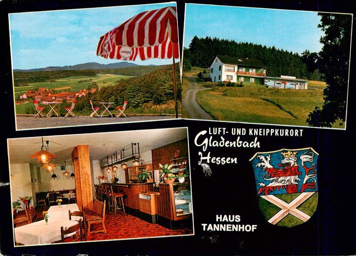 Gladenbach Hessen Haus Tannenhof Terrasse Gastraum
