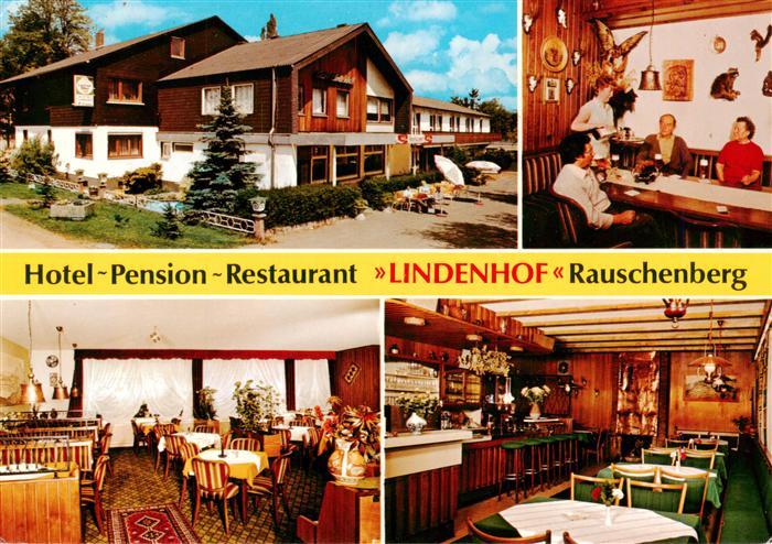 Rauschenberg Hessen Hotel Pension Restaurant Lindenhof Gastraeume Bar