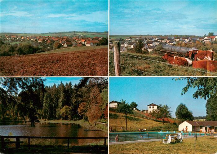Freienhagen Waldeck Panorama Jeppenteich Schwimmbad Viehweide Kuehe