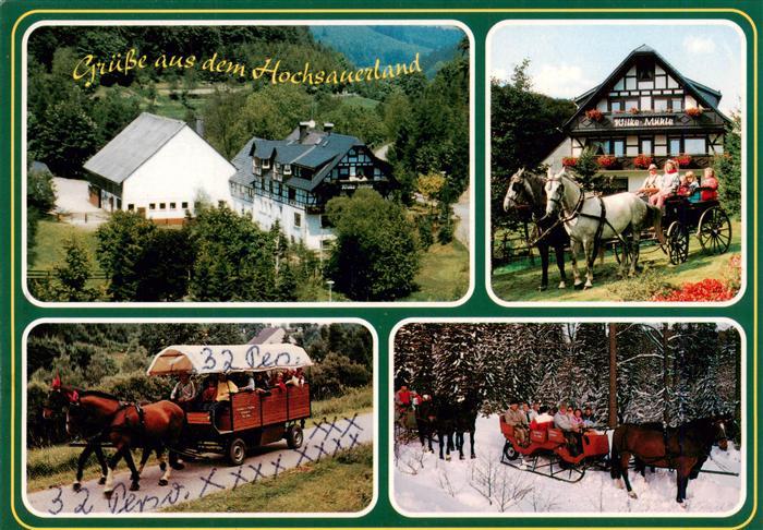 Usseln Pension Wilke-Muehle Sieger im Bundeswettbewerb Familienferien in Deutsch