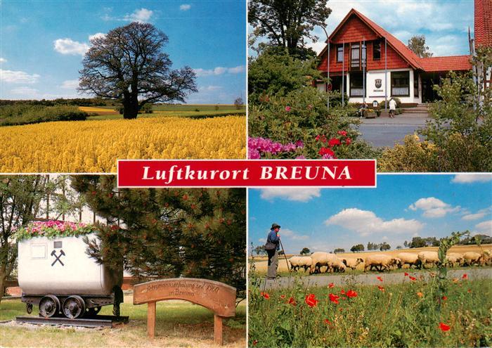 Breuna Hessen Landschaftspanorama Rapsfeld Schafherde 400jaehrige Eiche Rathaus