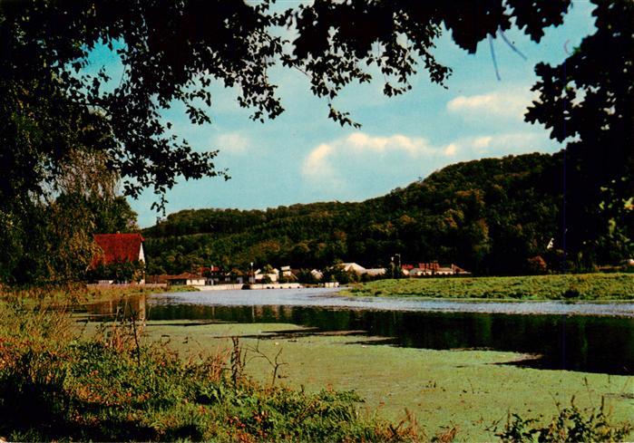 Marsberg Sauerland Niedermarsberg im Eichenwaeldchen