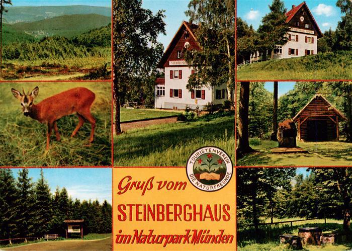 Hann. Muenden Naturfreundehaus am Steinberg Wildpark Teilansichten