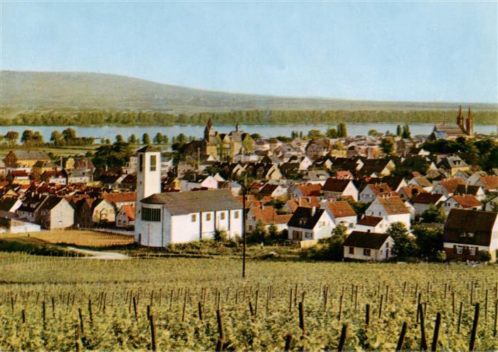 Geisenheim Rheingau Panorama