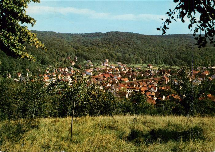 Lorsbach Panorama